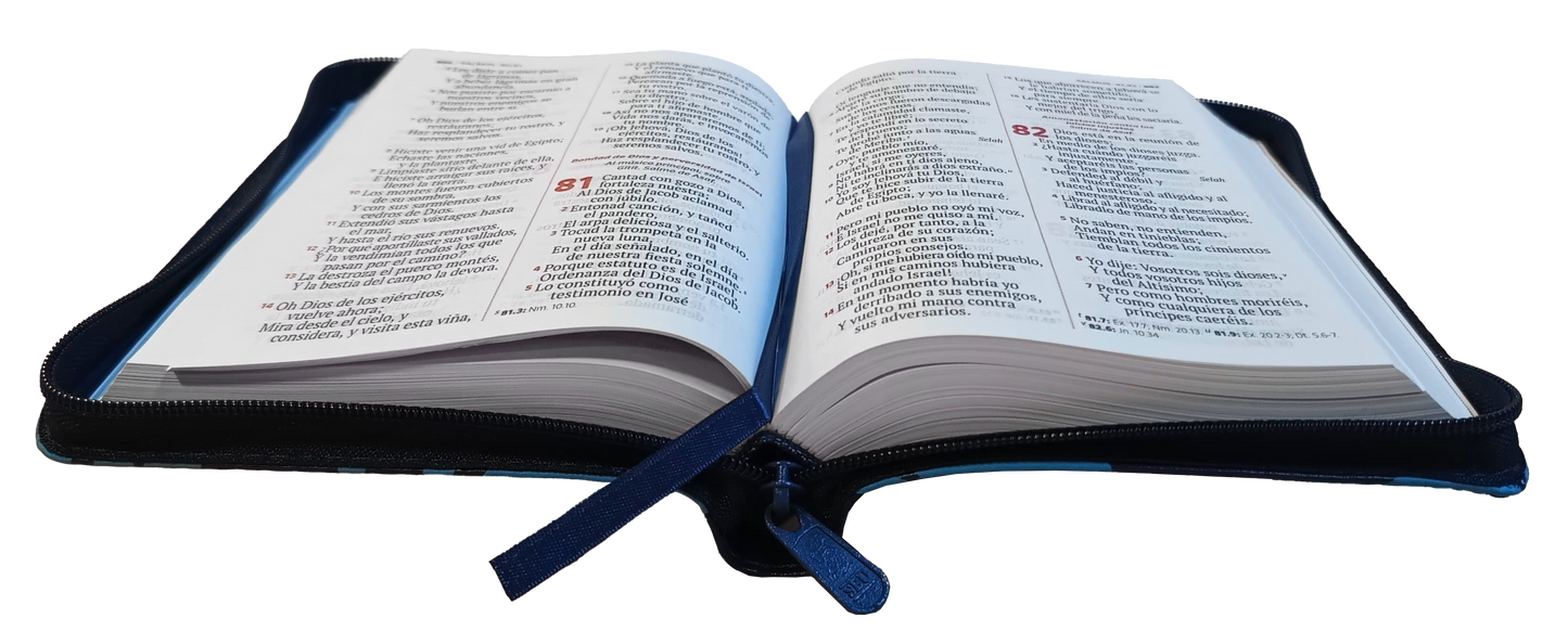 Biblia TDLB  mediana RVR Letra Grande PJR Color Azul Con Ayudas Digitales