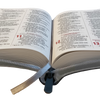 Biblia TDLB RVR Letra pequeña Color Gris Con Ayudas Digitales