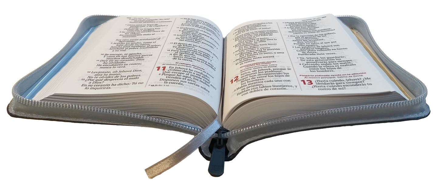 Biblia TDLB RVR Letra pequeña Color Gris Con Ayudas Digitales