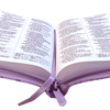 Biblia TDLB mediana RVR Letra Grande PJR Color Lila Con Ayudas Digitales