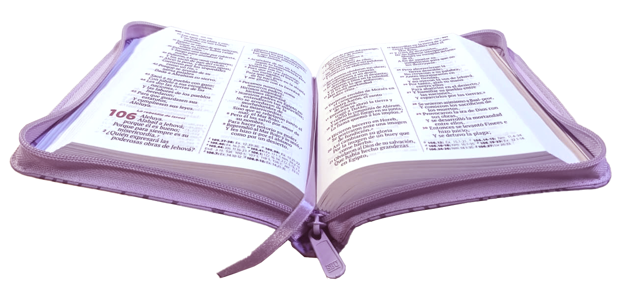Biblia TDLB mediana RVR Letra Grande PJR Color Lila Con Ayudas Digitales