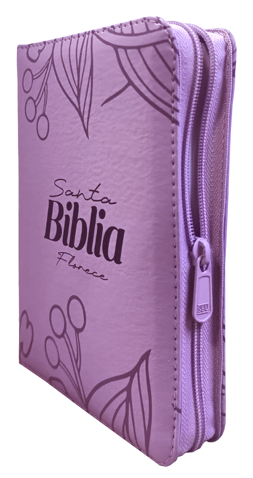 Biblia TDLB mediana RVR Letra Grande PJR Color Lila Con Ayudas Digitales