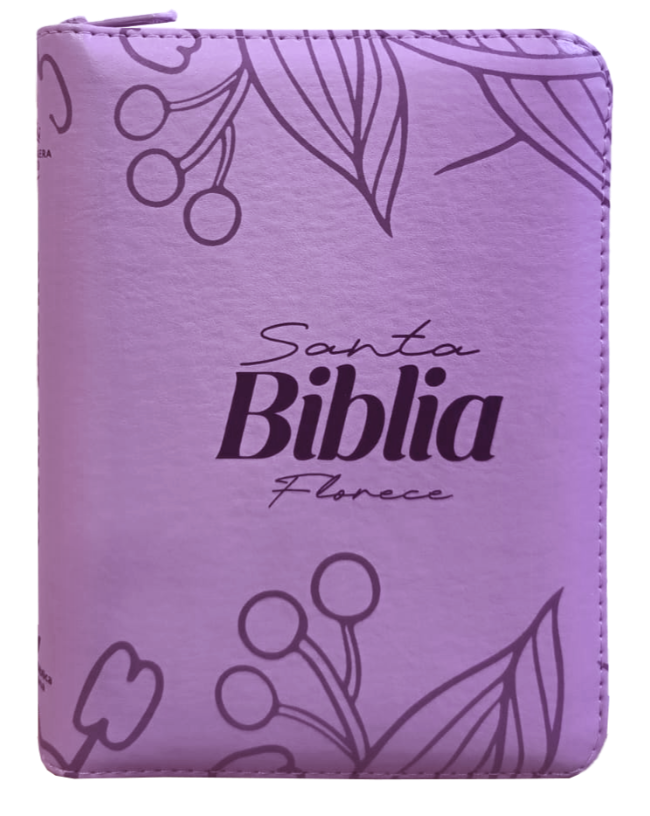 Biblia TDLB mediana RVR Letra Grande PJR Color Lila Con Ayudas Digitales