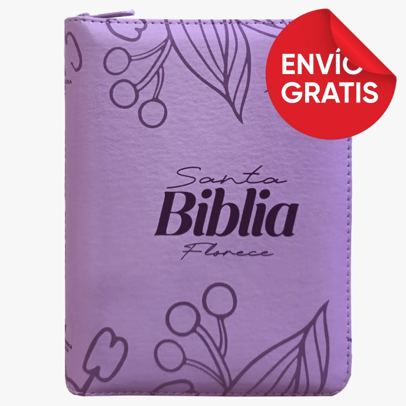 Biblia Reina Valera 1960 mediana RVR Letra Grande PJR Color Lila Con Ayudas Digitales