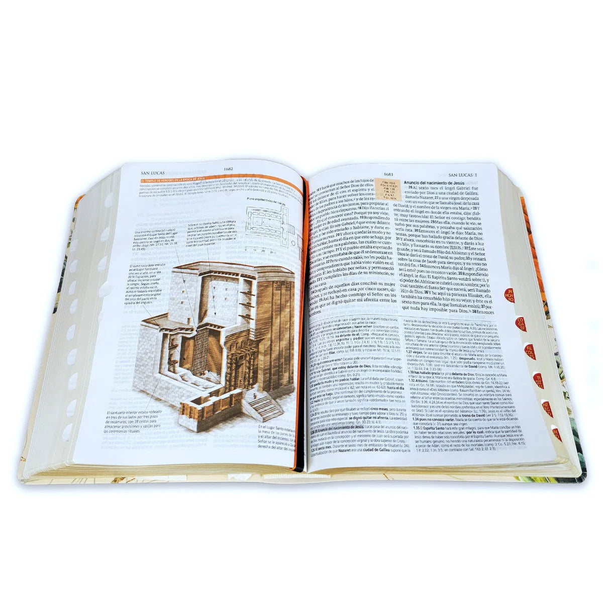 Biblia de Estudio RV1960 Teológico para Mujer , imitación piel tejida floral con índice