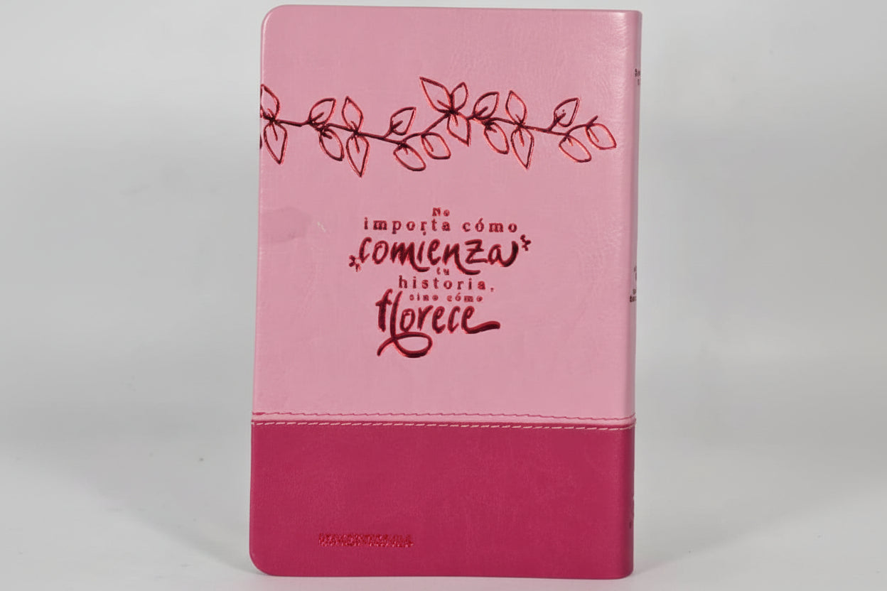 BIBLIA VALIOSA RVC066 LGP PJR  ROSADO CANT PLAT VALIOSA