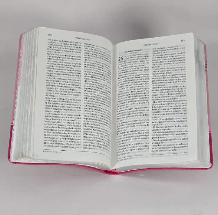 BIBLIA VALIOSA RVC066 LGP PJR  ROSADO CANT PLAT VALIOSA