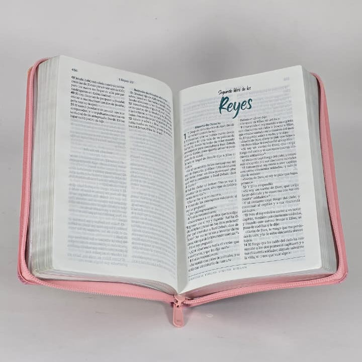 BIBLIA VALIOSA RVC066 LGP PJR  DURAZNO ROSADO CANT PLAT VALIOSA