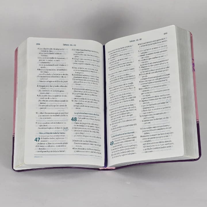 BIBLIA VALIOSA RVC066 LGP PJR  MORADA CANT PLAT VALIOSA