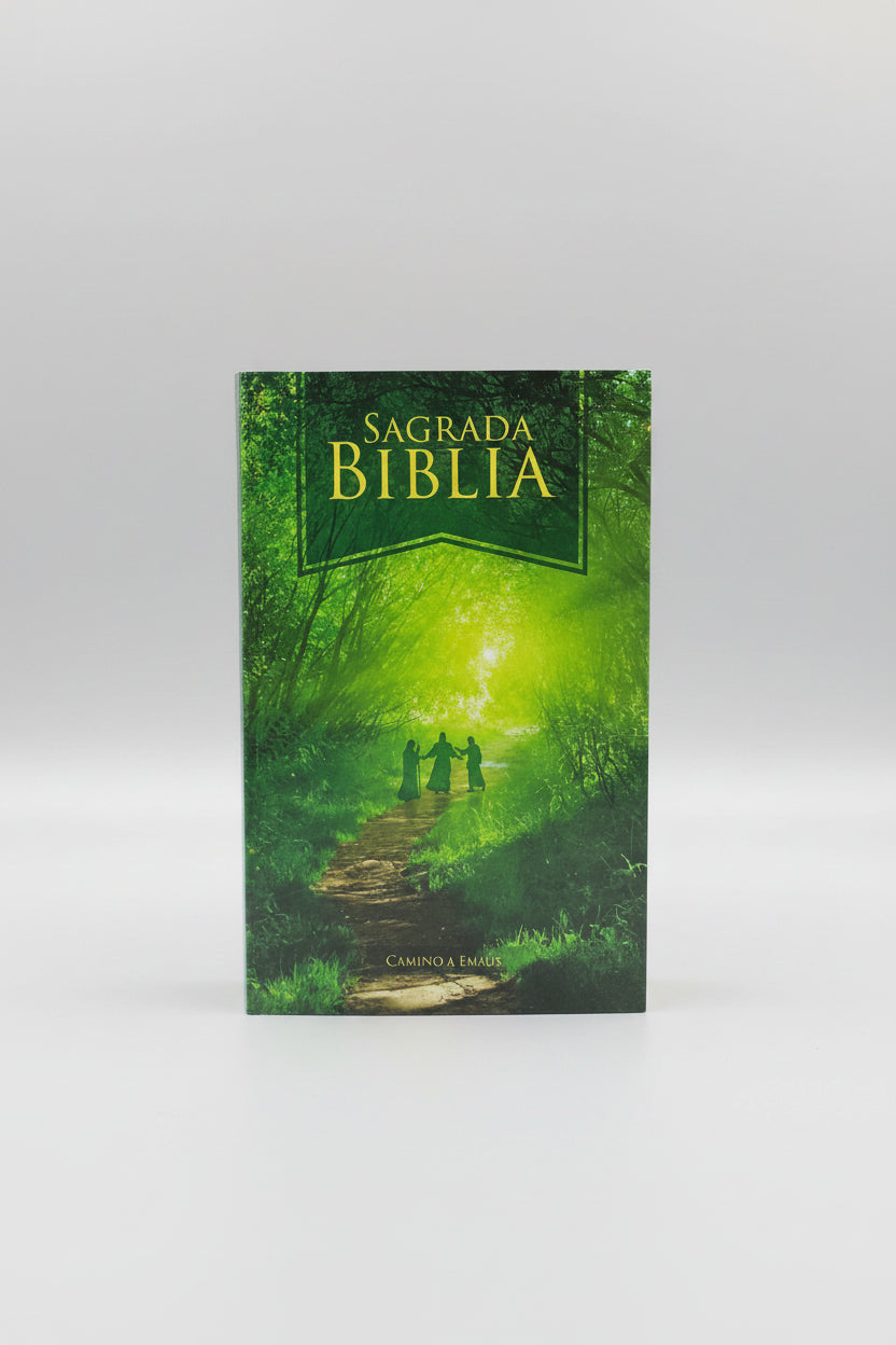 Caja x 20 Biblia Misionera DHH Letra mediana Camino de Emaus