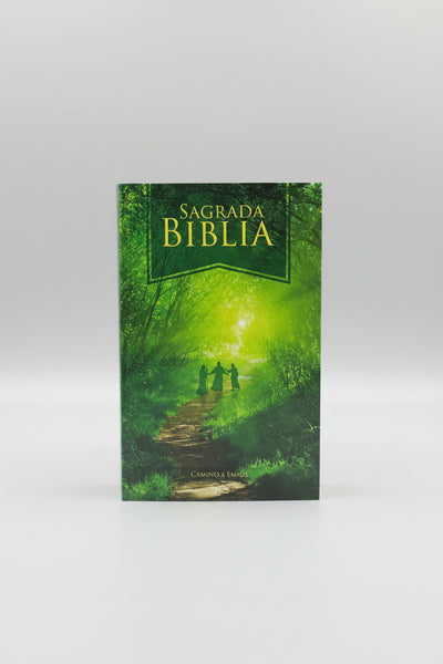 Caja x 20 Biblia Misionera DHH Letra mediana Camino de Emaus