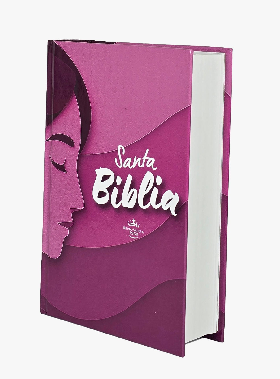 Biblia mediana RVR Letra Grande PJR Color Rosado Con Ayudas Digitales Tapa Dura
