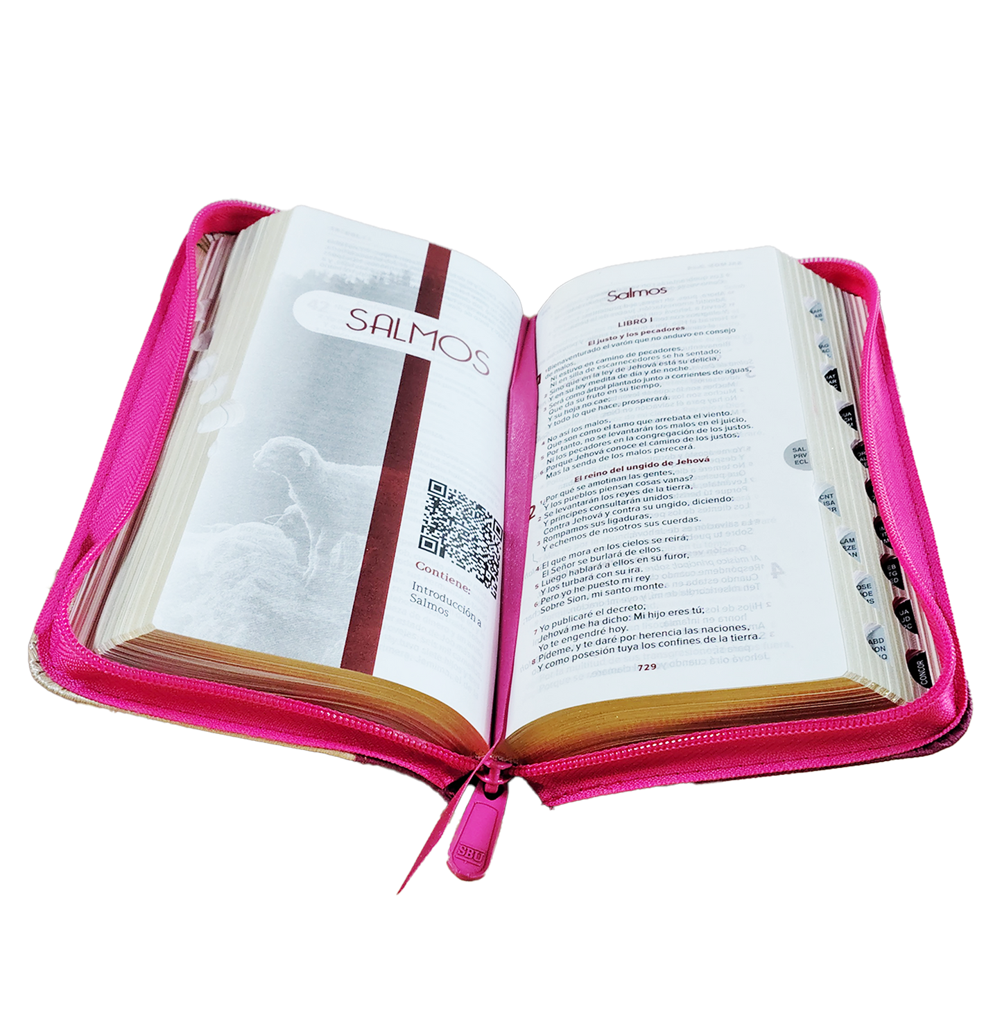 Biblia Reina Valera 1960 Letra pequeña Color Magenta Beige  Con Ayudas Digitales