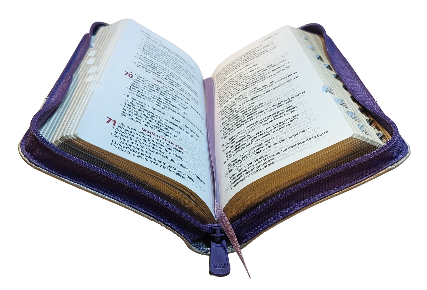Biblia Reina Valera 1960 Letra pequeña Color Morado Beige Canto Dorado