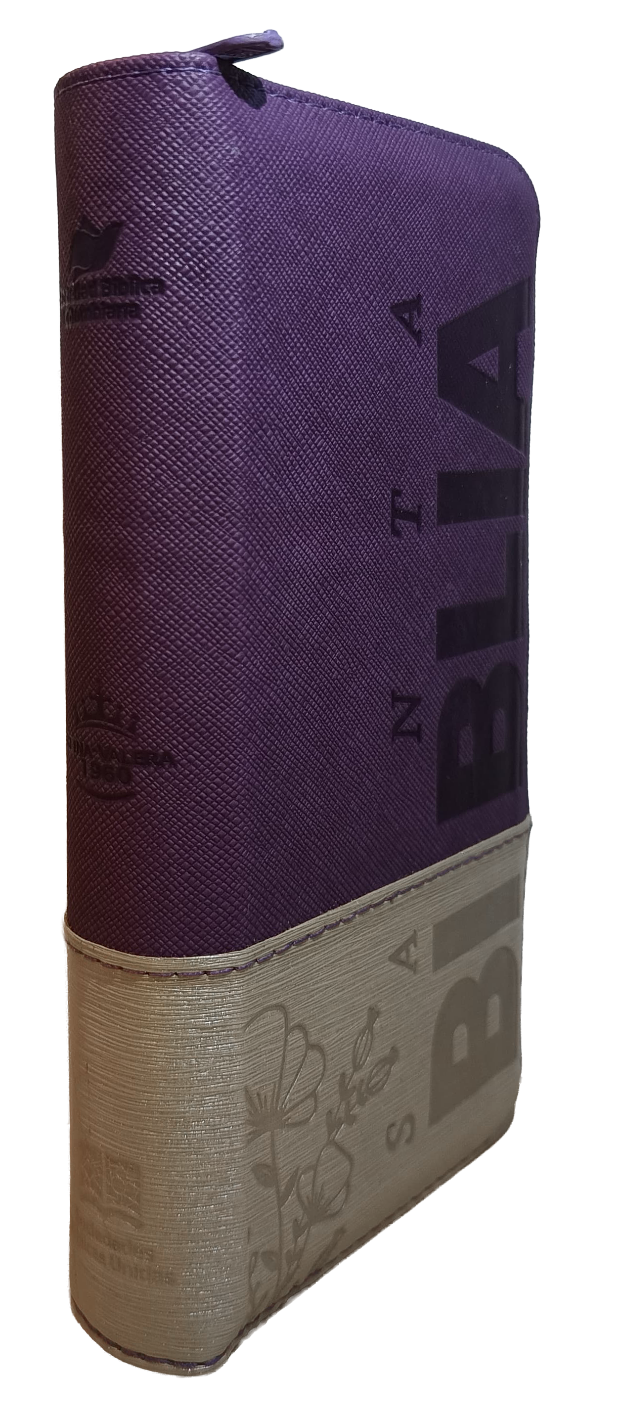Biblia Reina Valera 1960 Letra pequeña Color Morado Beige Canto Dorado