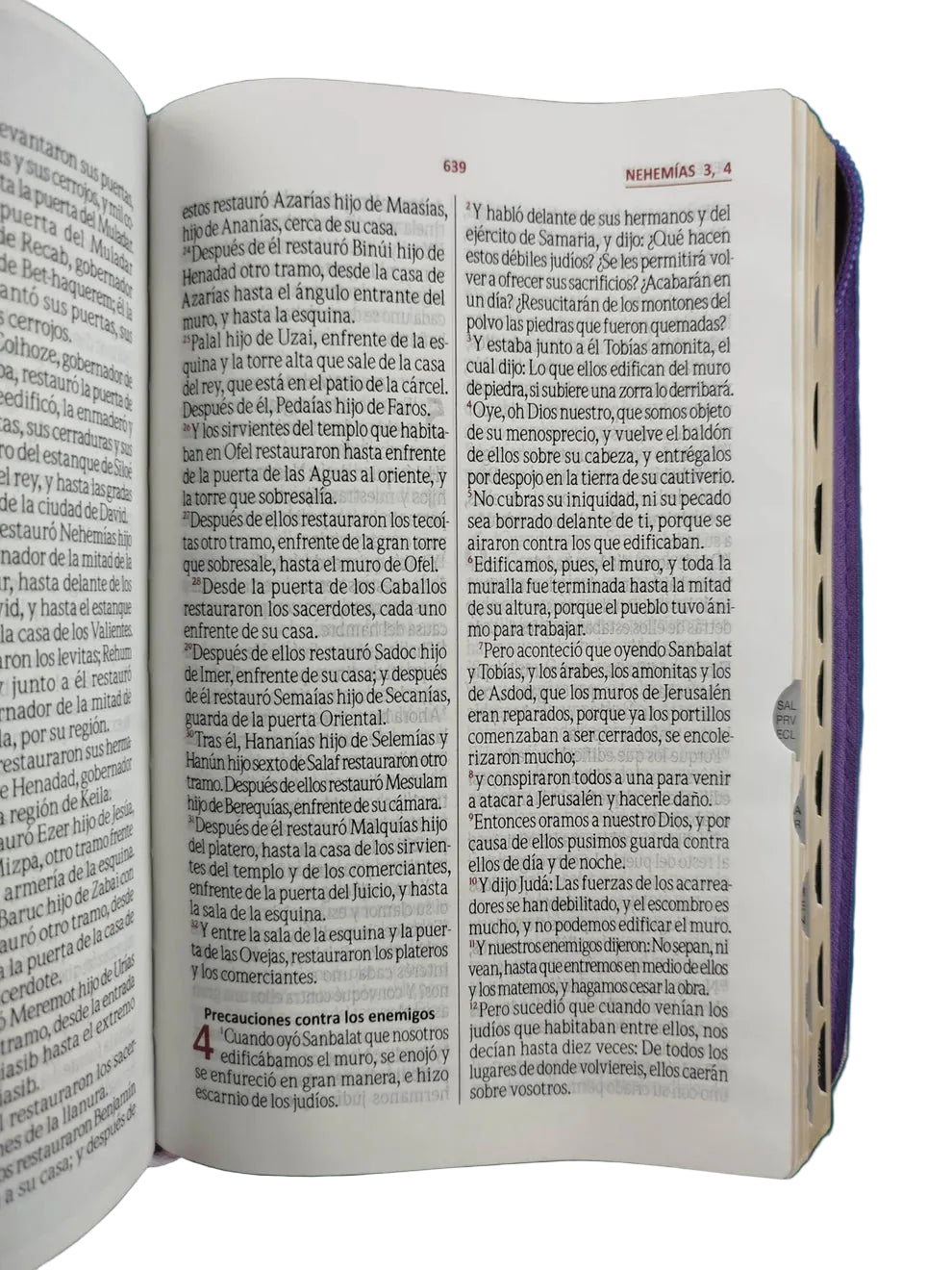Biblia RVR60 Letra Grande 12 pts con Recursos Digitales - Color Beige Morado