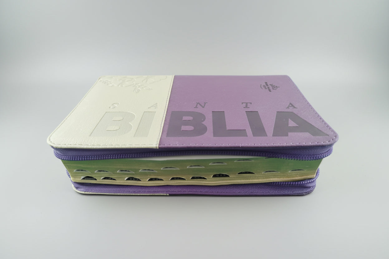 Biblia RVR60 Letra Grande 12 pts con Recursos Digitales - Color Beige Morado
