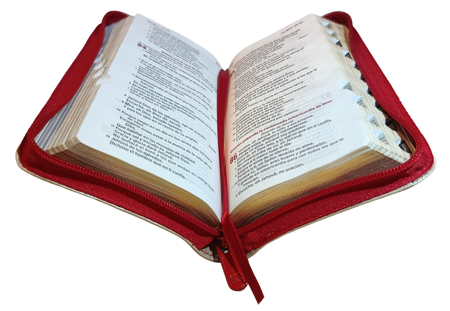 Biblia Reina Valera 1960 Letra pequeña Color Rojo Beige Canto Dorado