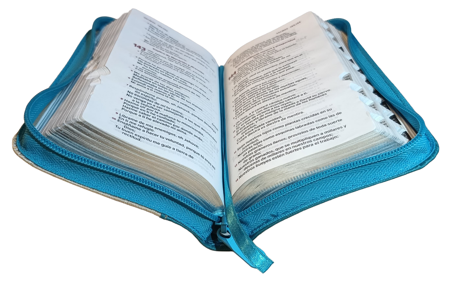 Biblia Reina Valera 1960 Letra pequeña Color Azul  Beige Canto Dorado