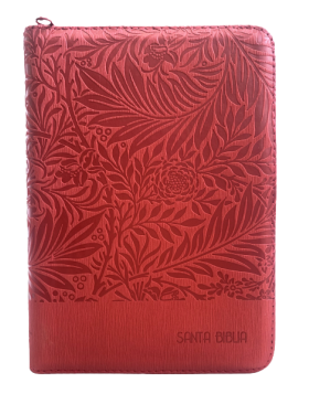 Biblia Reina Valera 1960 / Color rojo / Indice / Letra grande - Ayudas QR